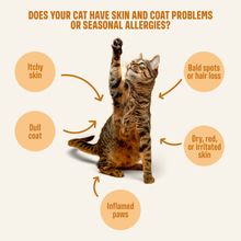Skin & coat