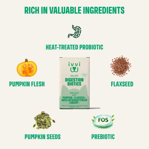 Digestion Biotics