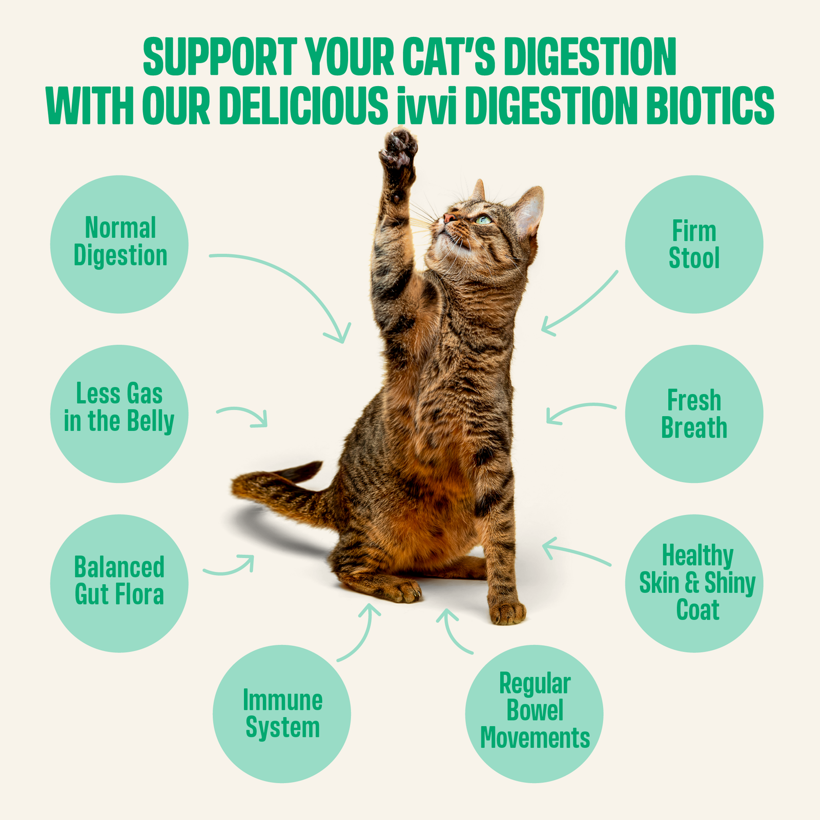 Digestion Biotics