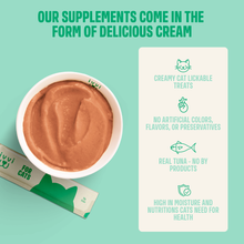 Digestion Biotics