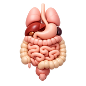 digestion-biotics-sci-4