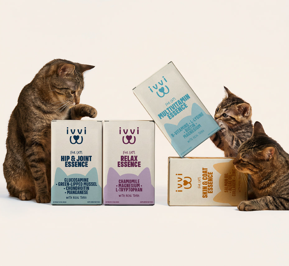 ivvi cats